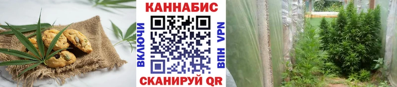 Cannafood конопля  Электросталь 