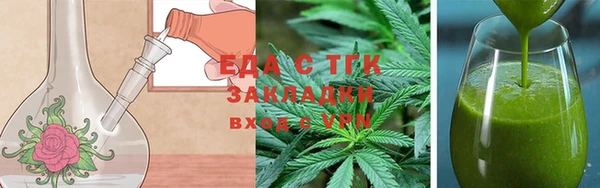 индика Абаза