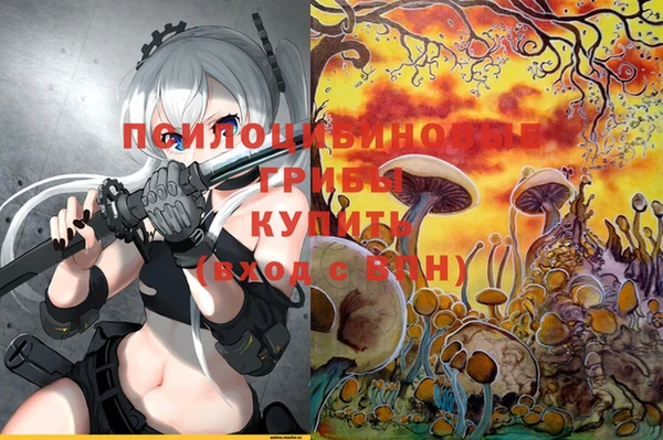мескалин Коряжма