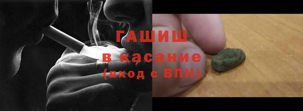 индика Абаза