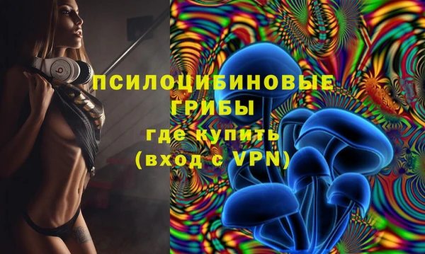 экстази Каменногорск